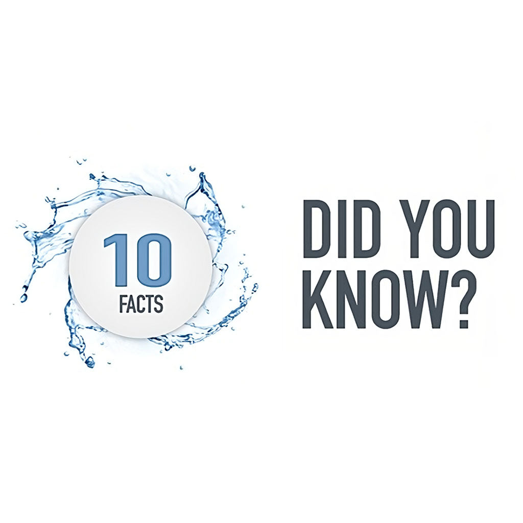 Dispelling the "Bulletproof" Myth 10 Essential Facts About Body Armor