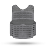 WLV 2.0 Carrier (WLV2)